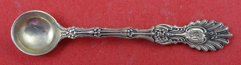 Salt Spoon 2 1/2
